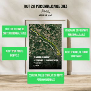 Affiche carte satellite le combiné de la loire saumur 2024