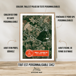 Affiche carte satellite 10km Cheverny 2025