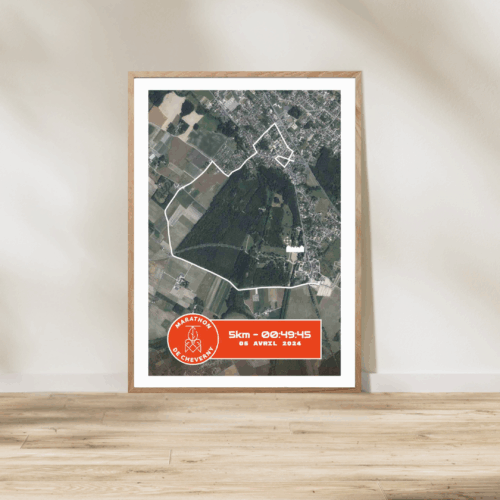 Affiche carte satellite 5km Cheverny 2025